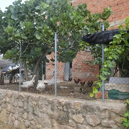 Holiday home Masoveria La Roca