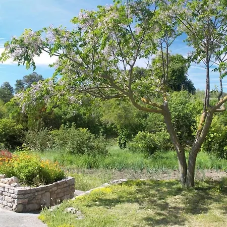 Holiday home Masoveria La Roca Sagas