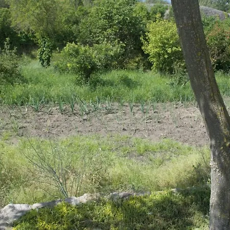 Masoveria La Roca * Sagas
